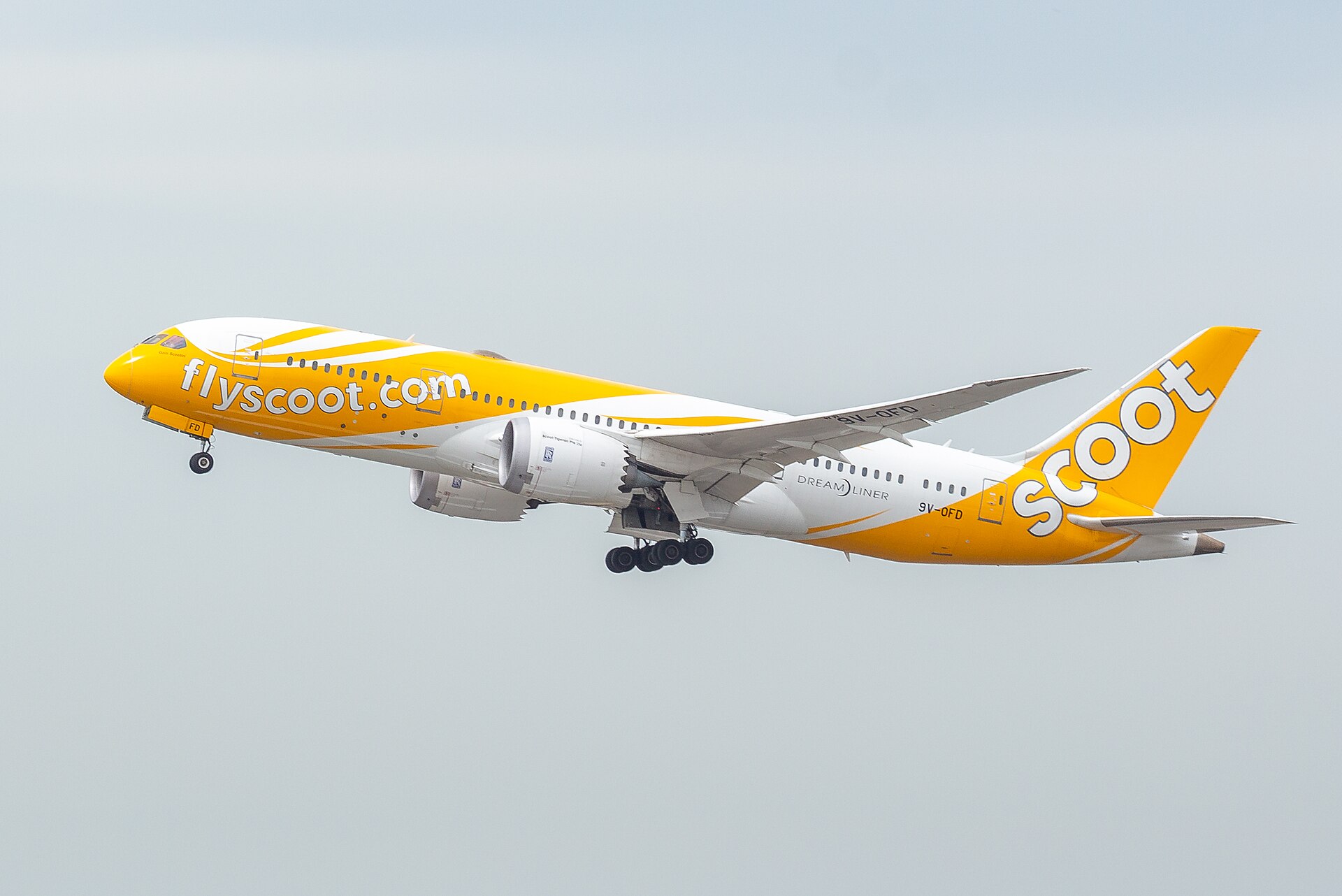 Scoot aircraft (TR) — maskapai rute internasional, photo via Wikimedia Commons (Wikipedia media-list)
